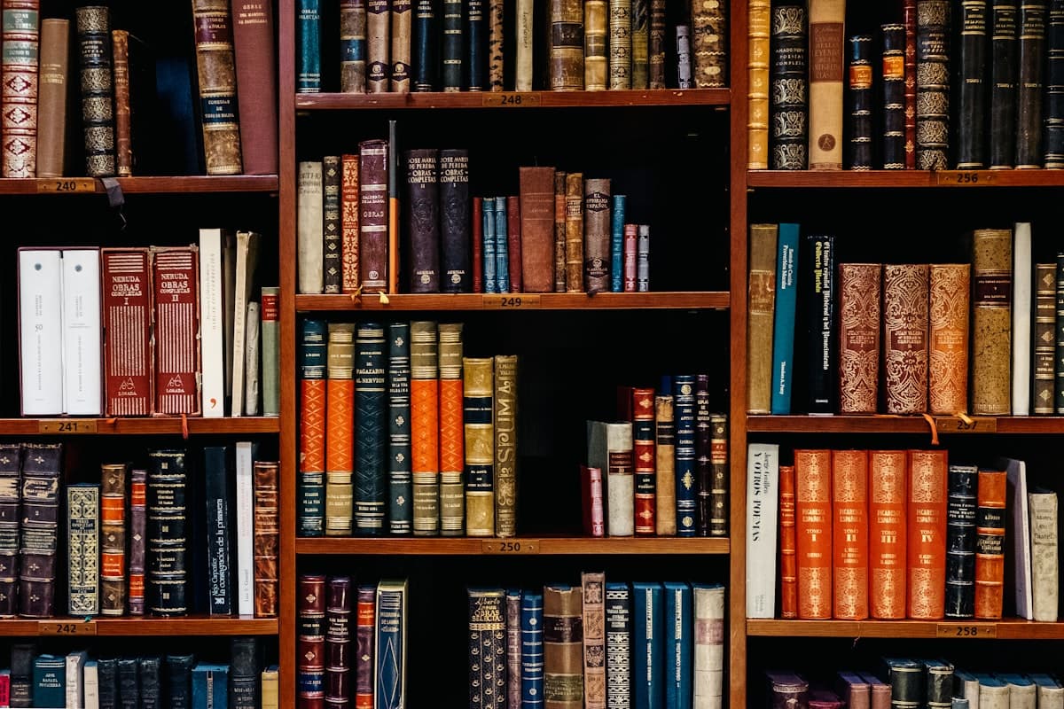 Legal document review and professional operations